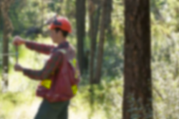sustainability banner 600x400