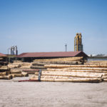 sawmill factory lumber planks production 150x150