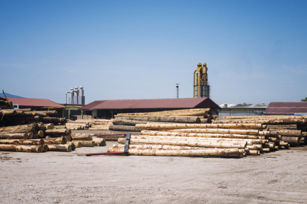 sawmill factory lumber planks production 600x400