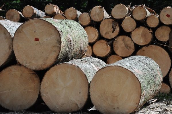 logs 600x400 logs 600x400
